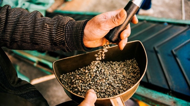 Xuất khẩu cà phê 6 tháng đầu năm đạt gần 1,55 tỷ USD