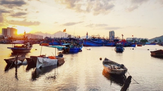 Đà Nẵng: Cảng cá Thọ Quang sẽ tạm dừng hoạt động trong 7 ngày