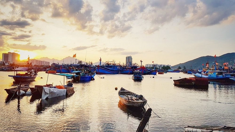 Đà Nẵng: Dừng hoạt động Cảng cá Thọ Quang từ trưa ngày 26/7