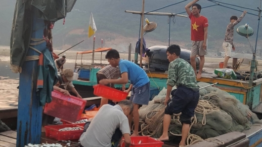 Hà Tĩnh: Đầu tư 60 tỷ đồng nâng cấp, mở rộng cảng cá Thạch Kim