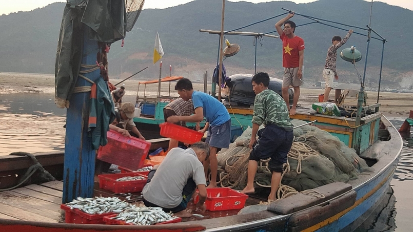 Hà Tĩnh: Đầu tư 60 tỷ đồng nâng cấp, mở rộng cảng cá Thạch Kim