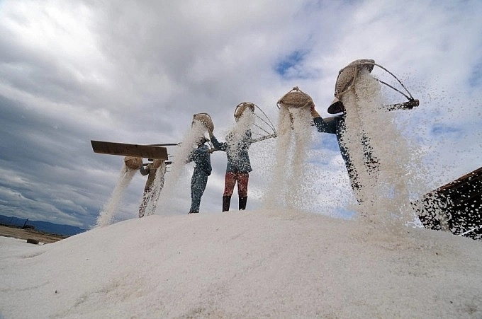 Khánh Hòa: Gắn kết hoạt động du lịch biển với trải nghiệm sản xuất và chế biến muối