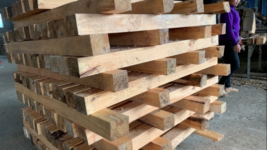 Sơn La: Sản lượng gỗ khai thác trong tháng 7 ước đạt 2.165 m3