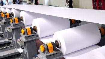 Việt Nam nhập khẩu 1,25 triệu tấn giấy các loại trong 6 tháng đầu năm