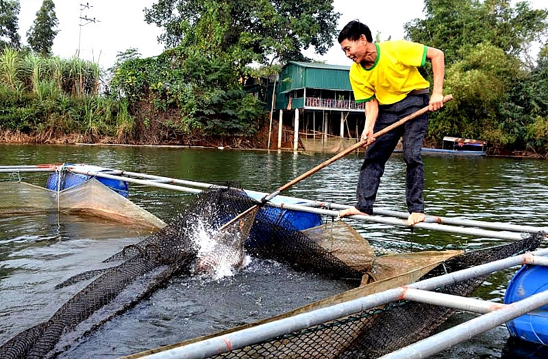 Yên Bái: Diện tích nuôi trồng thủy sản toàn tỉnh đạt 2.600 ha