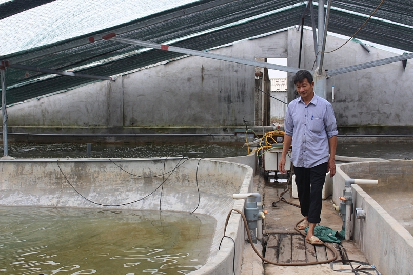 Nam Định: Phấn đấu tổng sản lượng thủy sản đến năm 2030 đạt khoảng 230.150 tấn