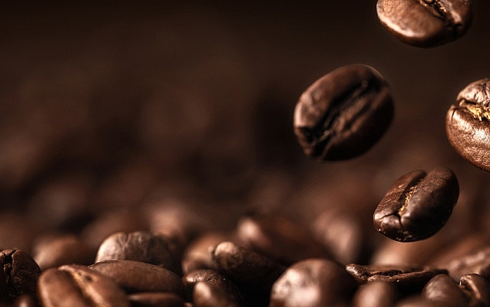 Giá cà phê hôm nay 11/8: Tăng thêm 600 đồng/kg