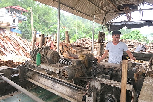 Bắc Kạn: Tăng cường quản lý, chống thất thu thuế từ các cơ sở chế biến gỗ