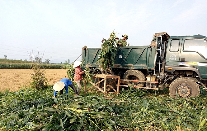Quảng Bình:  Phấn đấu đến năm 2025, cơ cấu nông, lâm, ngư nghiệp chiếm 17,5% GRDP toàn tỉnh