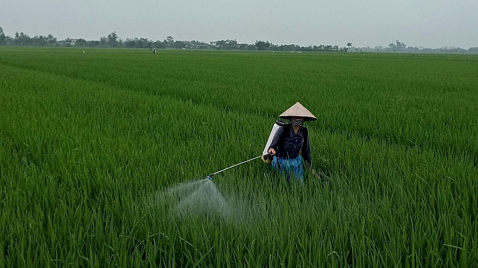 Bắc Ninh: Hướng dẫn sản xuất nông nghiệp trong điều kiện phòng, chống dịch Covid-19