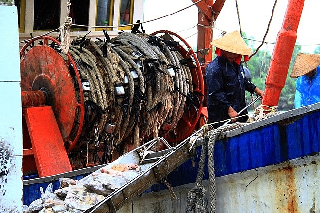 Kiên Giang: Phấn đấu kim ngạch xuất khẩu Qúy IV đạt 146 triệu USD
