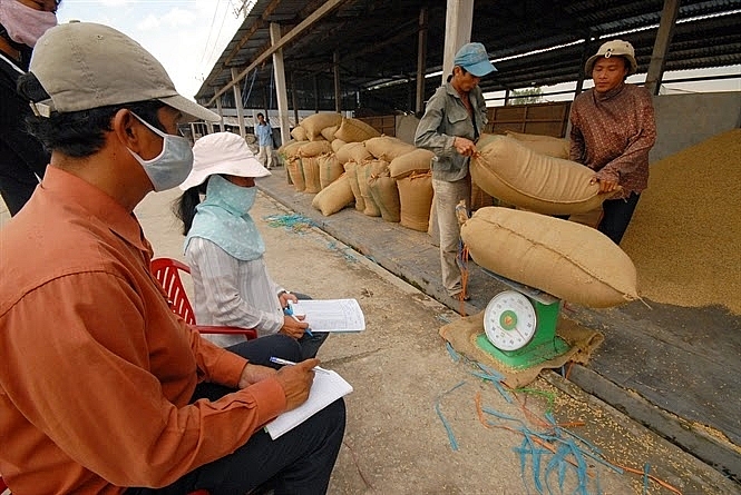 Các đơn vị, cơ quan ban ngành phối hợp thực hiện việc xuất khẩu gạo hiệu quả