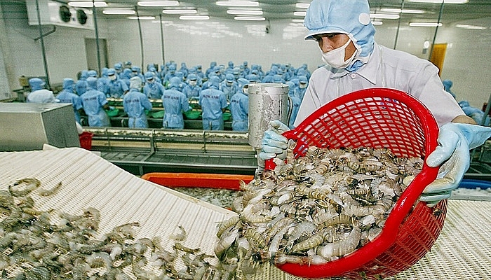 Canada: Thị trường tiềm năng lớn cho xuất khẩu tôm Việt