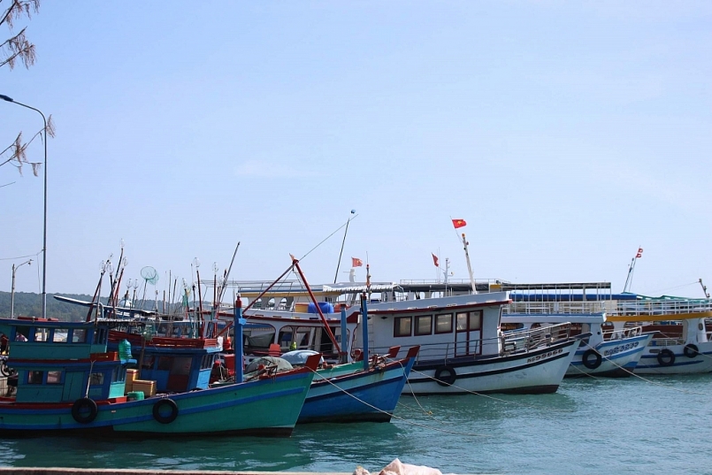 Kiên Giang: Công bố mở Cảng cá An Thới và Cảng cá Tắc Cậu