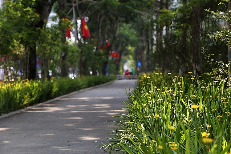 Hà Nội: Sắp hoàn thành kế hoạch trồng 600.000 cây xanh