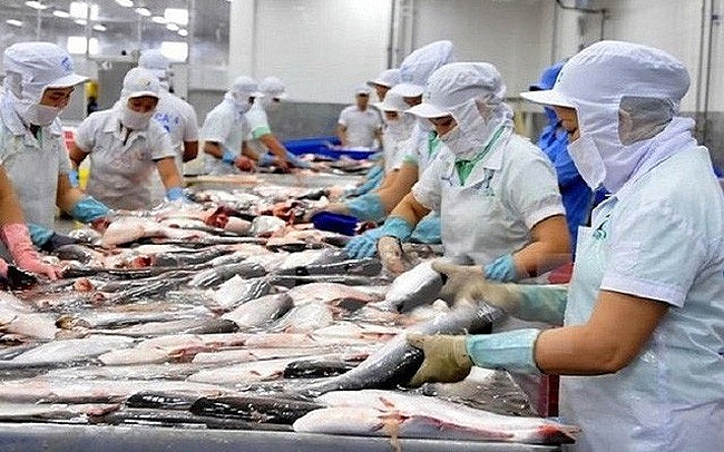 Xuất khẩu cá tra sang thị trường Mexico giảm mạnh