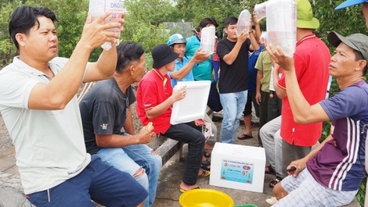 Dự án GCF tỉnh Cà Mau hỗ trợ tôm sú và cua giống cho các hộ dân