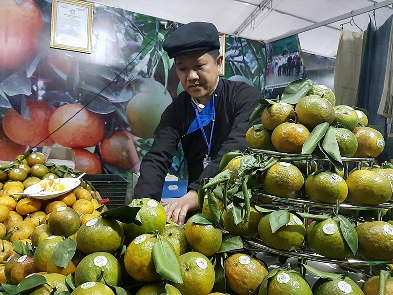 Hỗ trợ xúc tiến, kết nối tiêu thụ cam Hà Giang tại thị trường Hà Nội