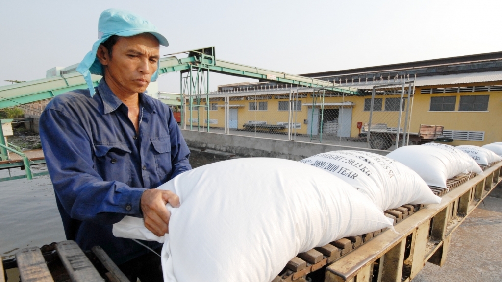 9 tháng, xuất khẩu gạo sang các thị trường chủ đạo đều tăng trưởng khả quan