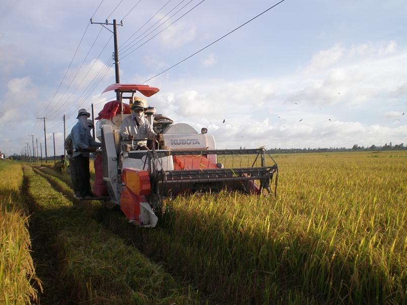 Trà Vinh đang tập trung triển khai các giải pháp bù đắp giá trị sụt giảm trong sản xuất nông nghiệp