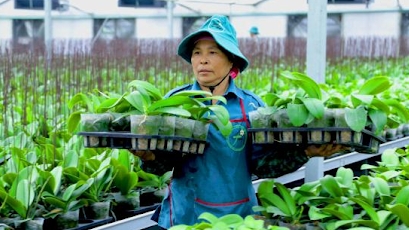 Hà Nội: Kim ngạch xuất khẩu 9 tháng đạt hơn 12 tỷ USD