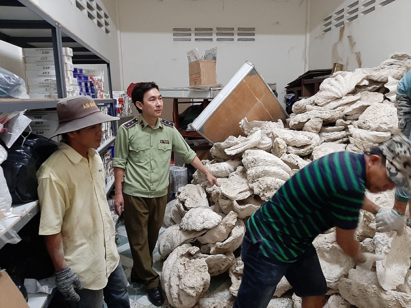 Tiền Giang chuyển giao 21.000 kg vỏ Trai tai tượng khổng lồ cho Bảo tàng Thiên nhiên Việt Nam
