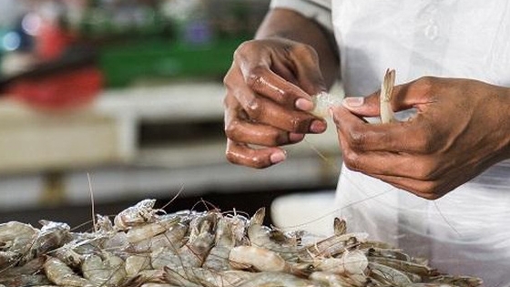9 tháng, Việt Nam nhập khẩu thủy sản nhiều nhất từ Ấn Độ