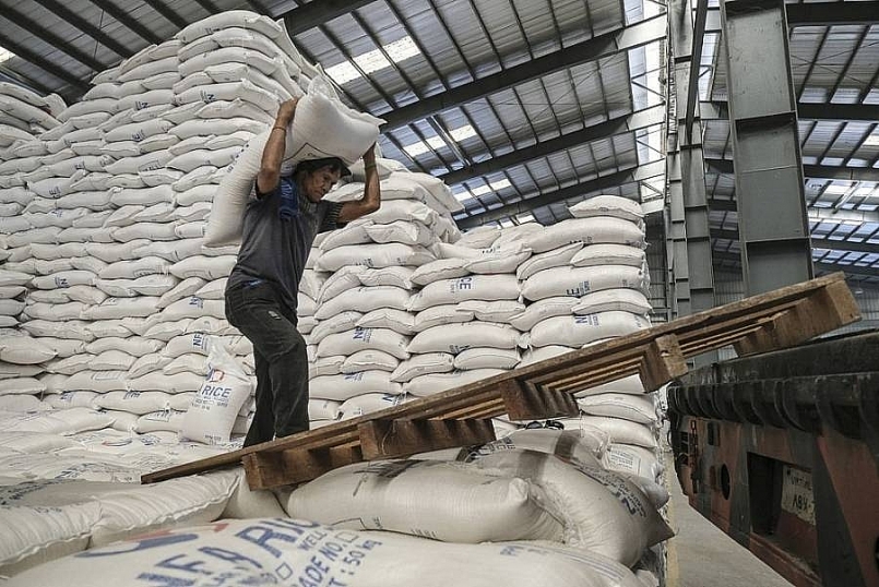 Cập nhật giá gạo hôm nay 22/10: Giá gạo xuất khẩu tăng mạnh