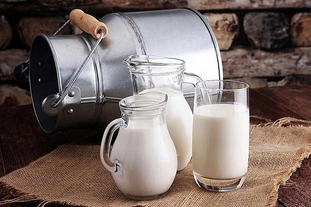 Sữa chiếm gần 60% tổng kim ngạch hàng hóa nhập khẩu của Việt Nam từ New Zealand