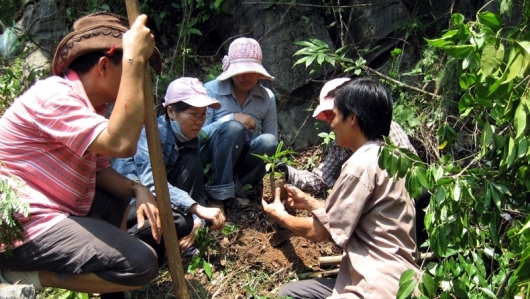 Quảng Ninh: Bảo tồn và phát huy hiệu quả giá trị đa dạng sinh học biển đảo