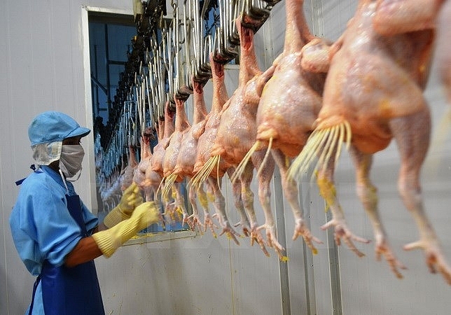 Hà Nội xử phạt hơn 134,8 tỷ đồng vi phạm an toàn thực phẩm