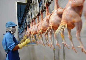 Hà Nội: Xử phạt hơn 134,8 tỷ đồng vi phạm an toàn thực phẩm