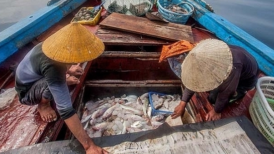 Doanh nghiệp hải sản Việt Nam cam kết tiếp tục chống khai thác IUU