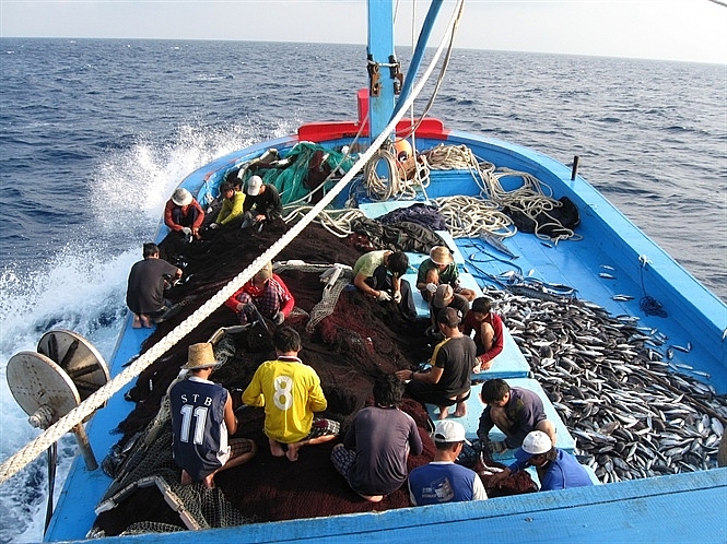 Thẻ vàng IUU của EU đã khiến cho xuất khẩu hải sản của Việt Nam sang thị trường này sụt giảm liên tục từ năm 2018 đến nay