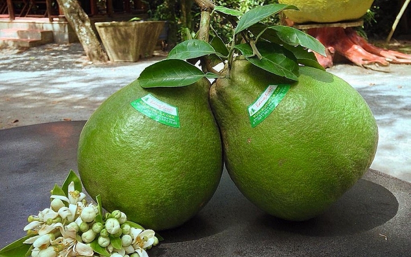 Nga bất ngờ tăng nhập khẩu gần 700% lượng bưởi tươi từ Việt Nam Nga bất ngờ tăng nhập khẩu gần 700% lượng bưởi tươi từ Việt Nam