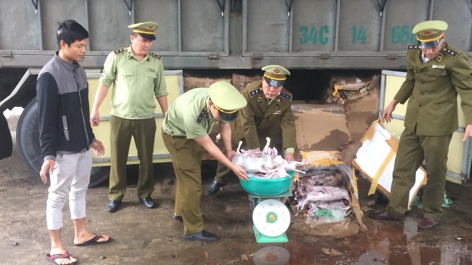 Hà Tĩnh: Ngăn chặn kịp thời 420kg thịt chó, mèo đã bốc mùi hôi thối