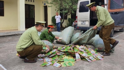 Lạng Sơn: Thu giữ hơn 11.000 gói hạt giống rau, quả nhập lậu