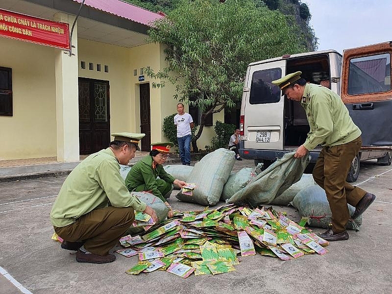 Lạng Sơn: Thu giữ hơn 11.000 gói hạt giống rau, quả nhập lậu