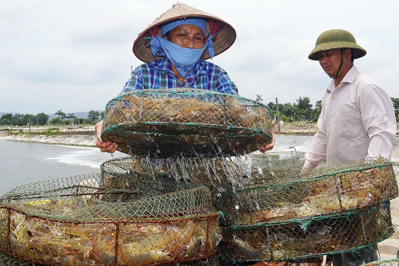 Trong những năm gần đây, thủy sản Quảng Ninh tăng trưởng ở mức đột phá, khẳng định vị trí hạt nhân, động lực trong lĩnh vực sản xuất nông nghiệp