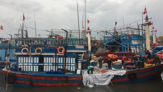 Quảng Bình: Giám sát chặt danh sách tàu cá có nguy cơ cao vi phạm khai thác IUU