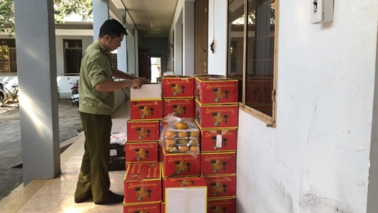 Bình Phước: Ngăn chặn gần 1,2 tấn trái cây nhập lậu