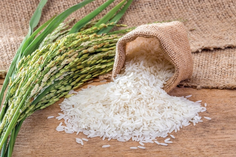 10 tháng đầu năm 2020 lượng gạo xuất khẩu của cả nước đạt trên 5,35 triệu tấn 