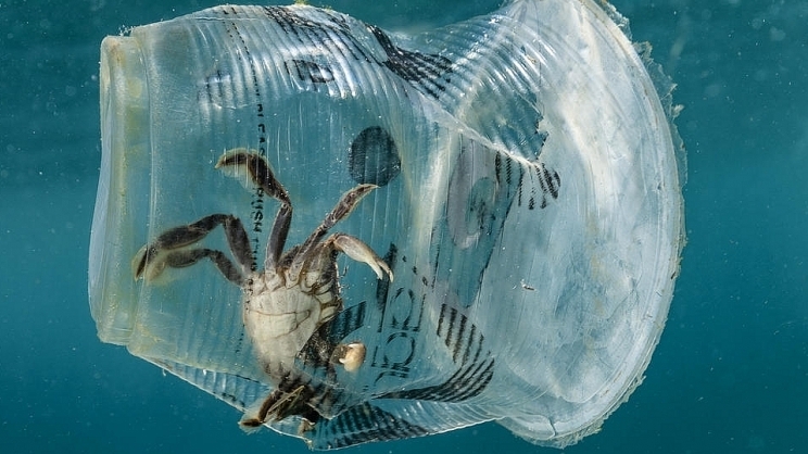 Kiên Giang: Ban hành kế hoạch hành động quản lý rác thải nhựa và rác thải nhựa đại dương