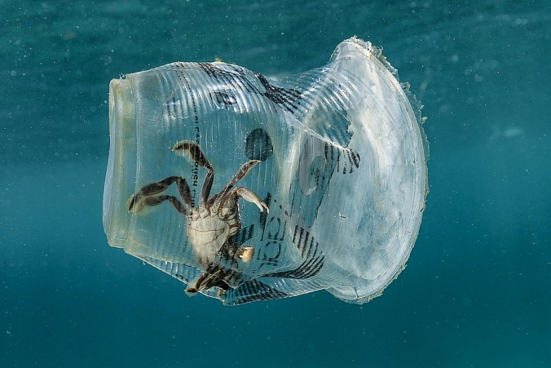 Kiên Giang: Ban hành kế hoạch hành động quản lý rác thải nhựa và rác thải nhựa đại dương