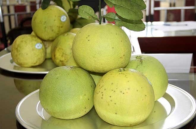Bưởi Khả Lĩnh có được danh tiếng như vậy là nhờ thích hợp với điều kiện tự nhiên của khu vực địa lý Bưởi Khả Lĩnh có được danh tiếng như vậy là nhờ thích hợp với điều kiện tự nhiên của khu vực địa lý