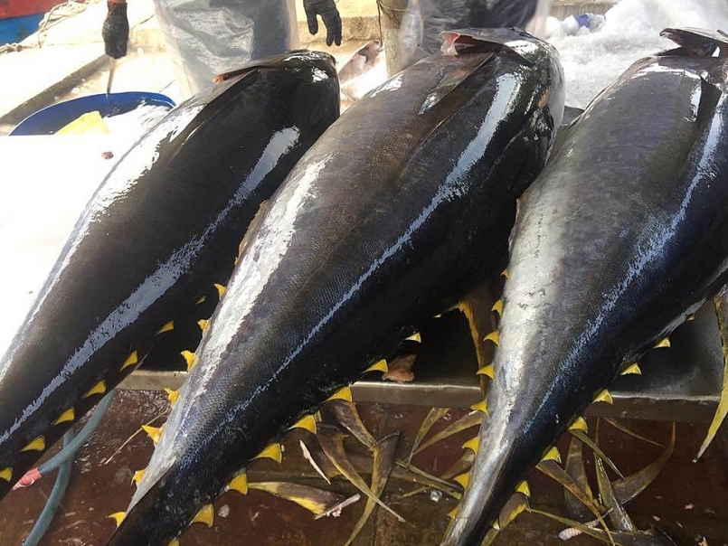 giá trị xuất khẩu cá ngừ của Việt Nam trong tháng 10/2020 đạt gần 65,5 triệu USD