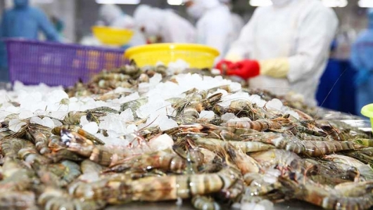 Xuất khẩu tôm: Cần quan tấm hơn đến thị trường ASEAN
