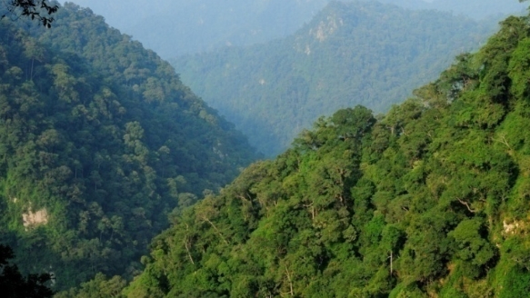 Thanh Hóa: Đẩy mạnh phát triển du lịch sinh thái Khu bảo tồn thiên nhiên Xuân Liên