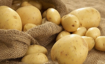 Những công dụng của nước ép khoai tây tươi đối với sức khỏe
