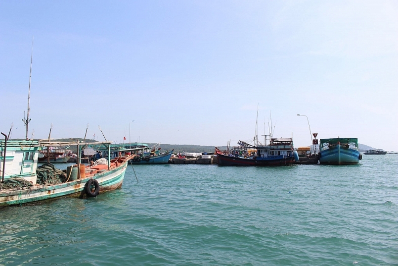 Kiên Giang: Tổng sản lượng thủy sản năm 2020 tăng vượt kế hoạch